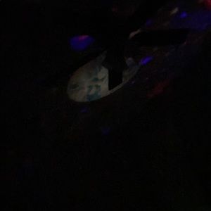 Meet your Posher, Stacy